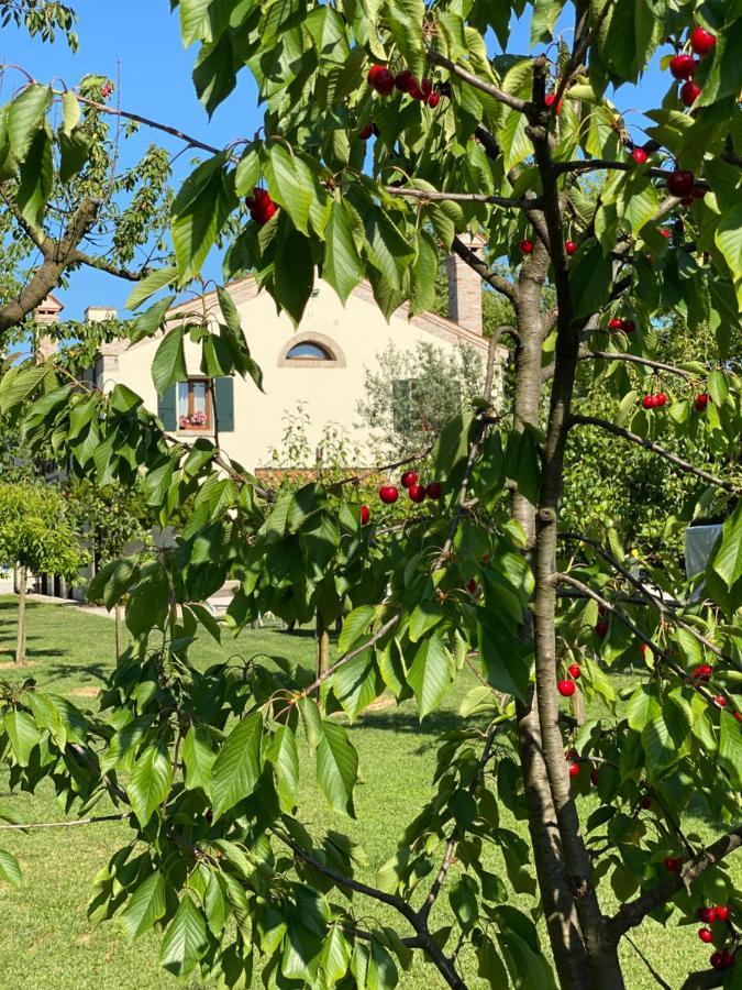 Il Canto Del Gallo B&B Zenson di Piave Exterior photo