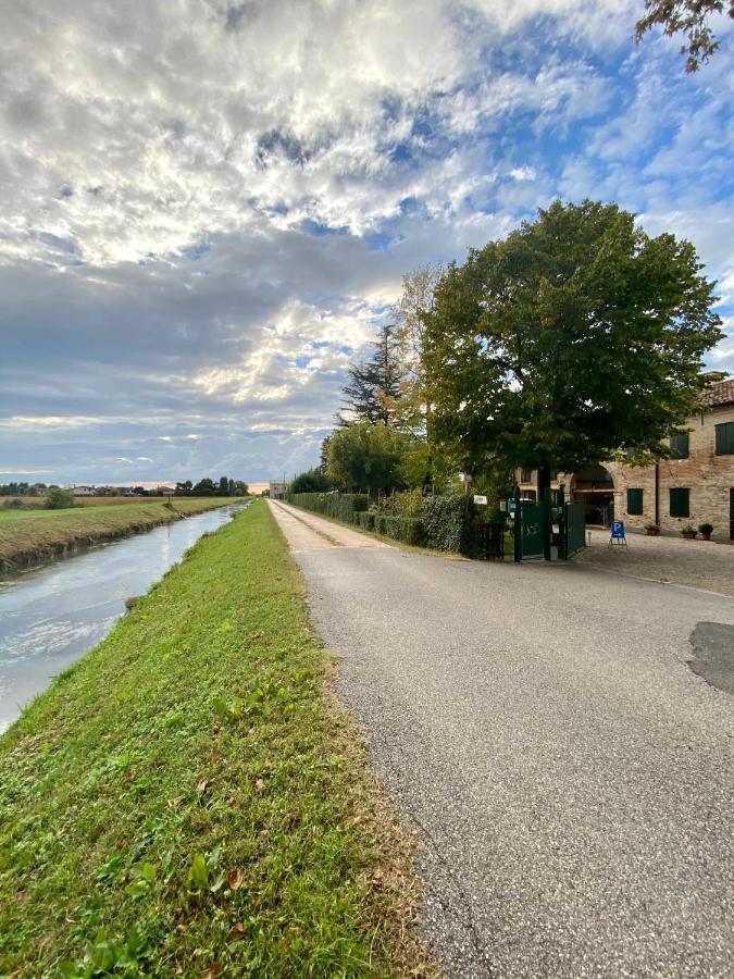 Il Canto Del Gallo B&B Zenson di Piave Exterior photo